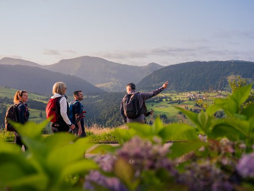 Sportwochen in unserem Fitnesshotel Vier Wanderer genießen den Blick auf ein grünes Tal und die umliegenden Berge