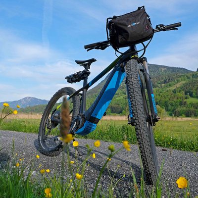 Our tips: Neuschwanstein Castle, Breitachklamm gorge & more Mountain bike on a path with flowers and mountains in the background