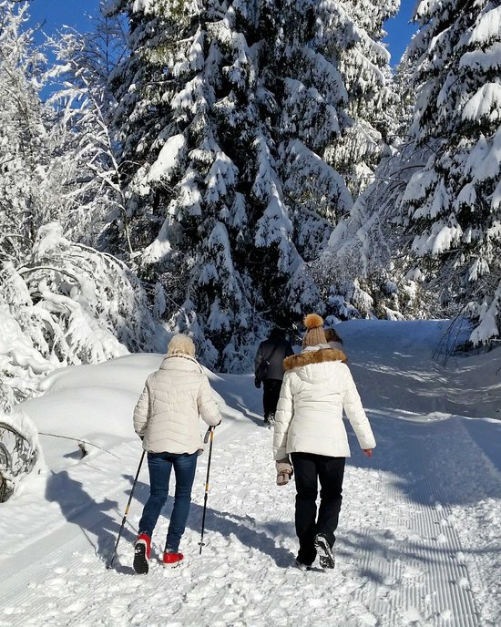 Ihr Wellnesshotel im Allgäu Menschen wandern auf verschneitem Waldweg bei sonnigem Winterwetter