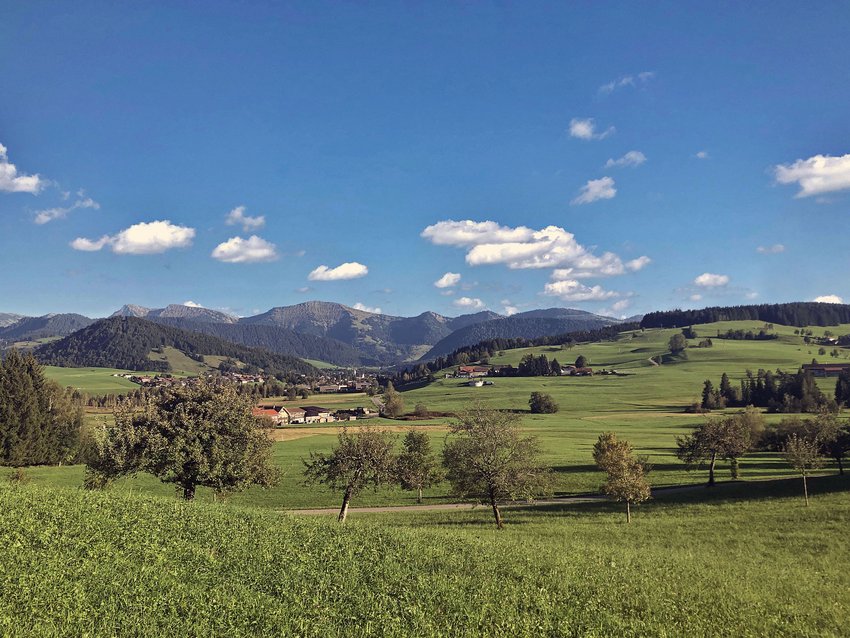 Wissenswertes übers Allgäu Grüne Wiesen mit Bäumen, Bauernhöfen und Bergen unter blauem Himmel