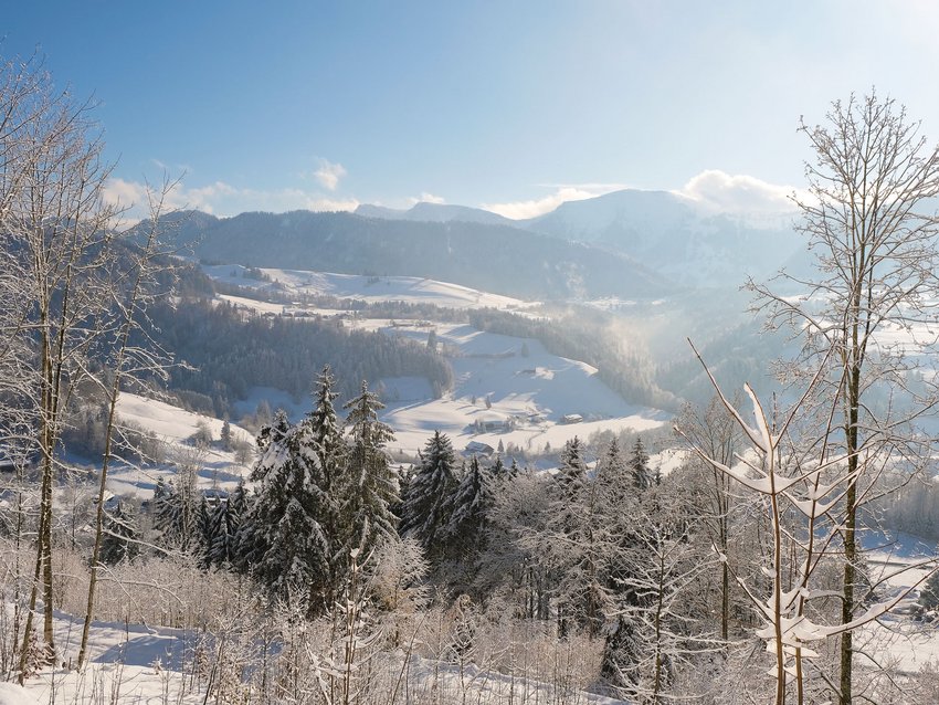 Ihr Hotel in Oberstaufen: Allgäu Sonne